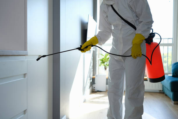 Best Toxic Mold Removal  in Hemlock Farms, PA