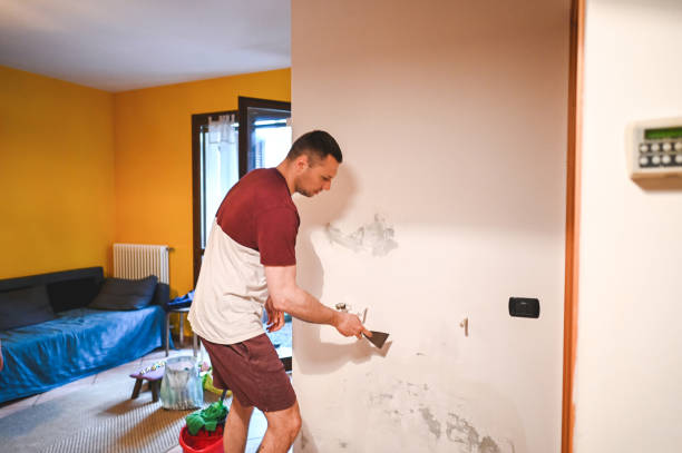 Best Local Mold Removal Service  in Hemlock Farms, PA